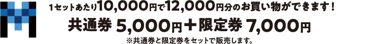 1セットあたり10,000円で12,000円分のお買い物ができます！ 共通券5,000円+限定兼7,000円 ※共通券と指定券をセットで販売します。